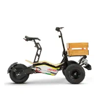 موتور اسکوتر برقی 3 چرخ|موتورسیکلت|تهران, تهرانپارس جنوبی|دیوار