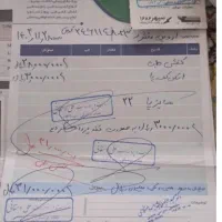 کفش طبی کودک|کفش و لباس بچه|بندرعباس, |دیوار