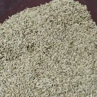 جو فروشی یک تن