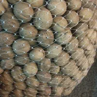 گردو تویسرکان|خوردنی و آشامیدنی|فردیس, فردیس|دیوار