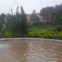 استخدام خانم در هتل|استخدام سرایداری و نظافت|گرگان, |دیوار