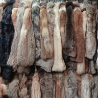 فروشنده پوشاک تایم صبح.|استخدام بازاریابی و فروش|شاهین‌شهر, چمران|دیوار