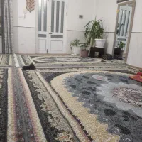 فروشی یک جفت قالی 12متریوشش متری|فرش|اسفراین, |دیوار