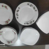 ویکتوریای اصل فرانسه و چینی گل سرخ اصل ژاپن