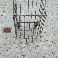 سبد خرید|ظروف نگهدارنده، پلاستیکی، یک‌بارمصرف|اهواز, زوویه ۲|دیوار