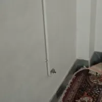 اسکان