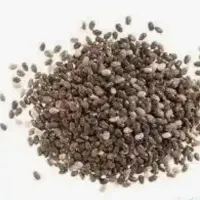 یه دانه و این همه خواص|خوردنی و آشامیدنی|اصفهان, تخت فولاد|دیوار