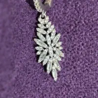 گم شدن یک لنگه گوشواره حوالی میدان ساعت تا درمانگا