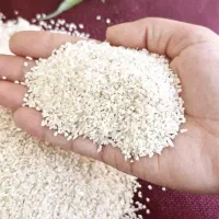 برنج شکسته هاشمی محلی معطر،کاملا تمیز|خوردنی و آشامیدنی|اصفهان, کوی امام جعفر صادق|دیوار