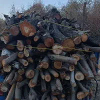 برش چوب هرس چال کود خریدچوب نهال کاری فنس