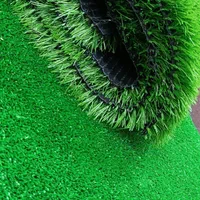 دیوارسبز . آکاردائونی .چمن مصنوعی . گرین وال|خدمات باغبانی و درختکاری|نجف‌آباد, گلدشت|دیوار