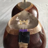 تار حرفه ای