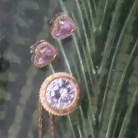 همه یکجا ۳۰۰  هزار ت|بدلیجات|رشت, یخسازی|دیوار