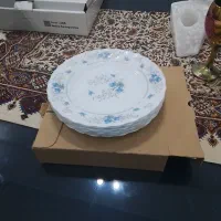 ظروف آشپزخانه|ظروف سرو و پذیرایی|شیراز, تندگویان|دیوار