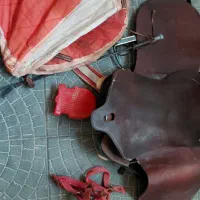 زین و آلات سوار کاری