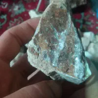 فسیل سنگ