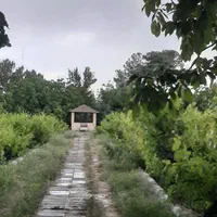 اجاره ۱۸۰۰۰مترچهار دیواری