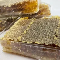 عسل طبیعی کوهستان محصول آذربایجان (سراب)