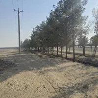 پلاک چهاردیواری/۷۲۰ متر/بر اتوبان/بدون عقب نشینی|فروش دفتر صنعتی، کشاورزی، تجاری|اصفهان, فرودگاه شهید بهشتی|دیوار