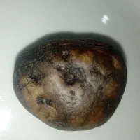 سنگ شفا درمان یا پادزهر|جواهرات|تهران, حشمتیه|دیوار