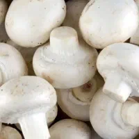 نیروی کار خانم برای کار در کارگاه پرورش قارچ|استخدام خدمات فروشگاه و رستوران|چهاردولی, |دیوار