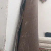 موکت نو