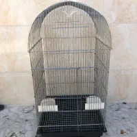 قفس عروس هلندی