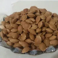 هسته زردالو