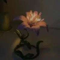 آباژور مخملی|چراغ خواب و آباژور|تبریز, |دیوار