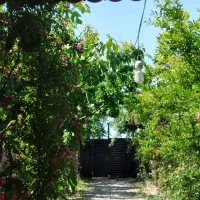 باغ-400-متری-داخل-مجموعه-کنار-روستای-گرمه
