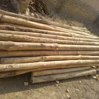 خرید چوب خشک|خدمات باغبانی و درختکاری|ارومیه, |دیوار