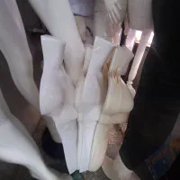 مانکن|فروشگاه و مغازه|تهران, نیلوفر|دیوار