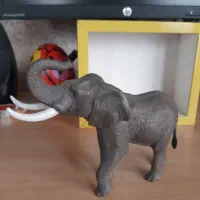 فیگور حیوانات