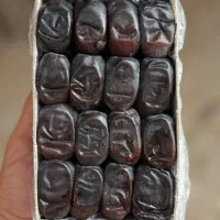 خرمای مضافتی درجه یک