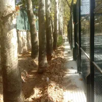 کلیه کارهایساختمان|خدمات پیشه و مهارت|شیراز, هفت تنان|دیوار