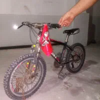 دوچرخه ۲۰ سالم