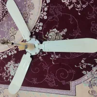پنکه