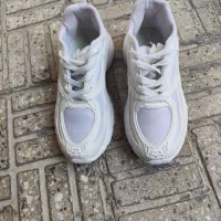 کفش اسپرت|کیف، کفش، کمربند|بروجن, |دیوار