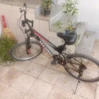 دوچرخه ماکسیما ۲۴