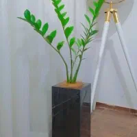 گلدان. جامایع. جادستمال کاغذی سرامیکی