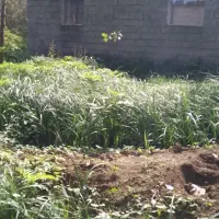 زمین ۱۶۰ متر با کاربری مسکونی در لاهیجان|فروش زمین و ملک کلنگی|لاهیجان, لیالستان|دیوار