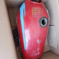 باک سالم گوجه ای رنگ