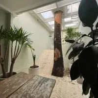 ۱۰۰۰ متر ویلا مستغلات سند اداری/تاپ لوکیشن فرشته