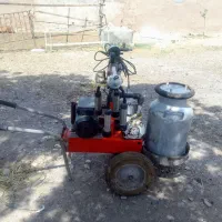 شیردوش و کف کش سالم