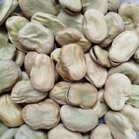 باقلا باقالی تضمینی و بشرط