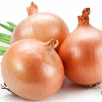 پباز طلایی سردخانه ای