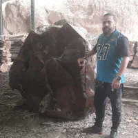 فروش عمده تخته چوب گردو با مجوز|عمدهفروشی|تهران, آجودانیه|دیوار