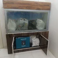اکواریوم