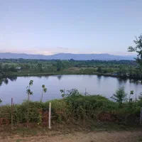 استخرماهی ۳هکتارجاده جیرده|فروش زمین و ملک کلنگی|شفت, |دیوار