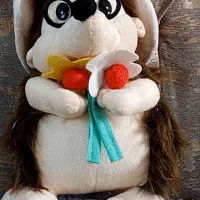 جوجه تیغی پولیشی